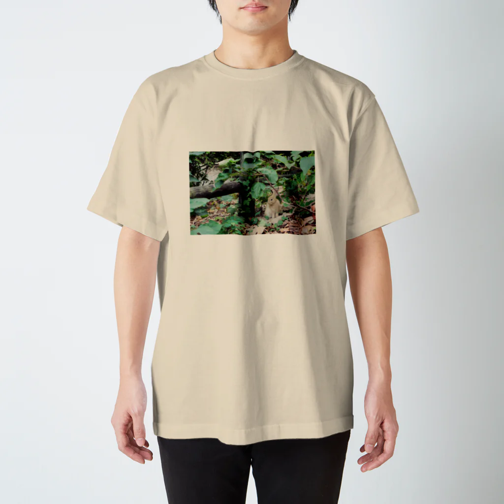 DesignShop_Sの茂みの中の子ウサギ スタンダードTシャツ