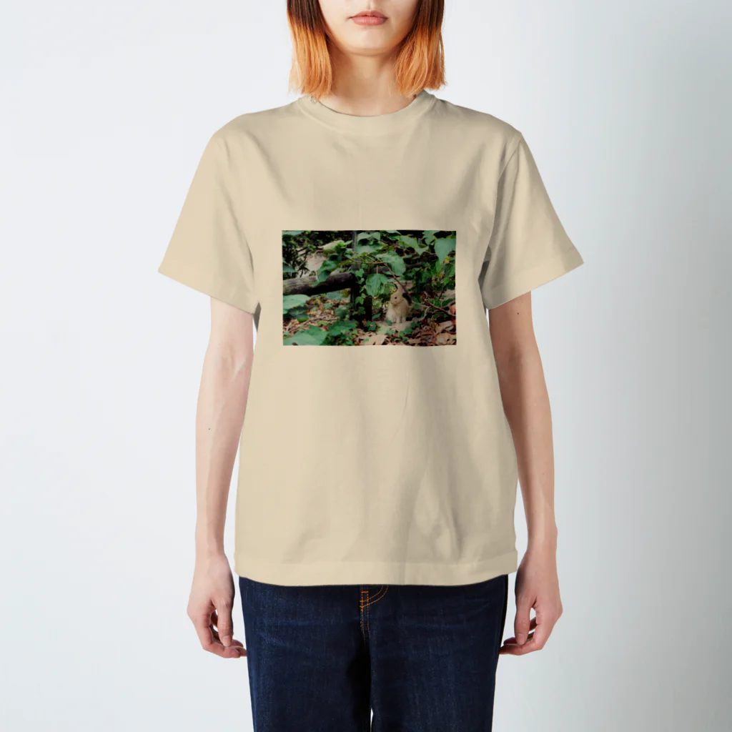 DesignShop_Sの茂みの中の子ウサギ スタンダードTシャツ