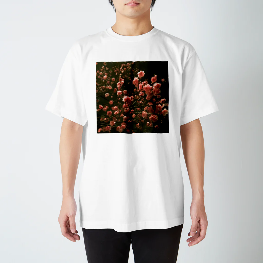 ケイコフ＊のhana_momo Regular Fit T-Shirt