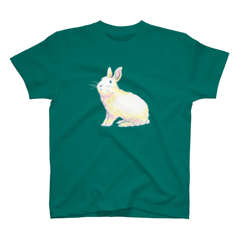 marinaのうさぎ（A to Z : Rabbit） Regular Fit T-Shirt