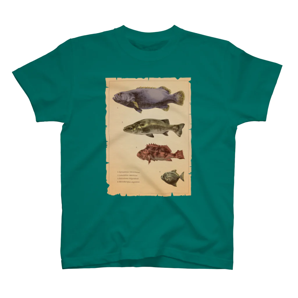 ななめやの魚類画帳 スタンダードTシャツ