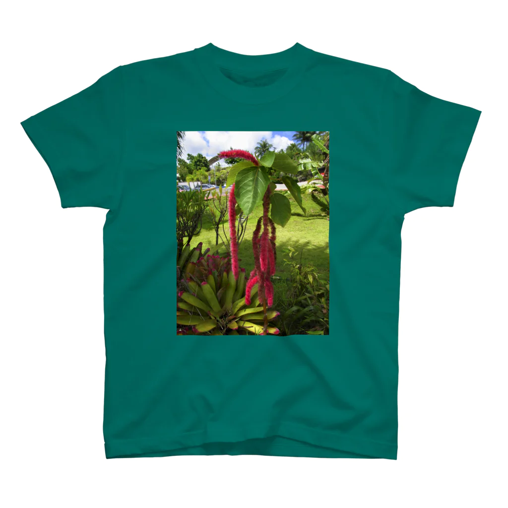 k.s.pのグアム 「植物」 スタンダードTシャツ