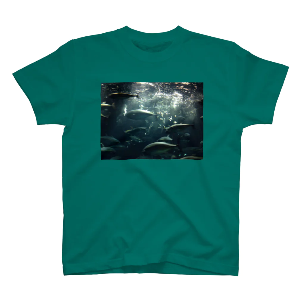 暴走チェリーブロッサムのいつも心に水族館① Regular Fit T-Shirt