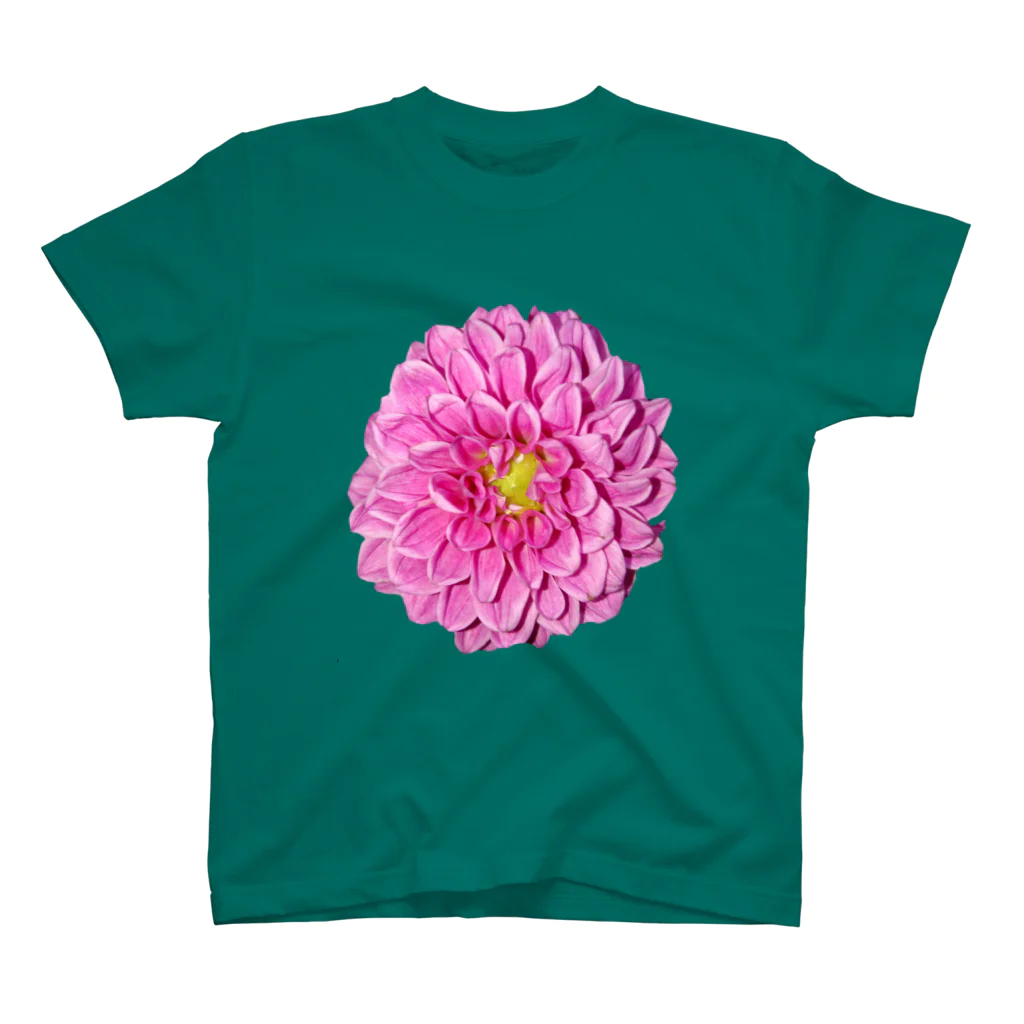 水彩屋のDahlia Regular Fit T-Shirt