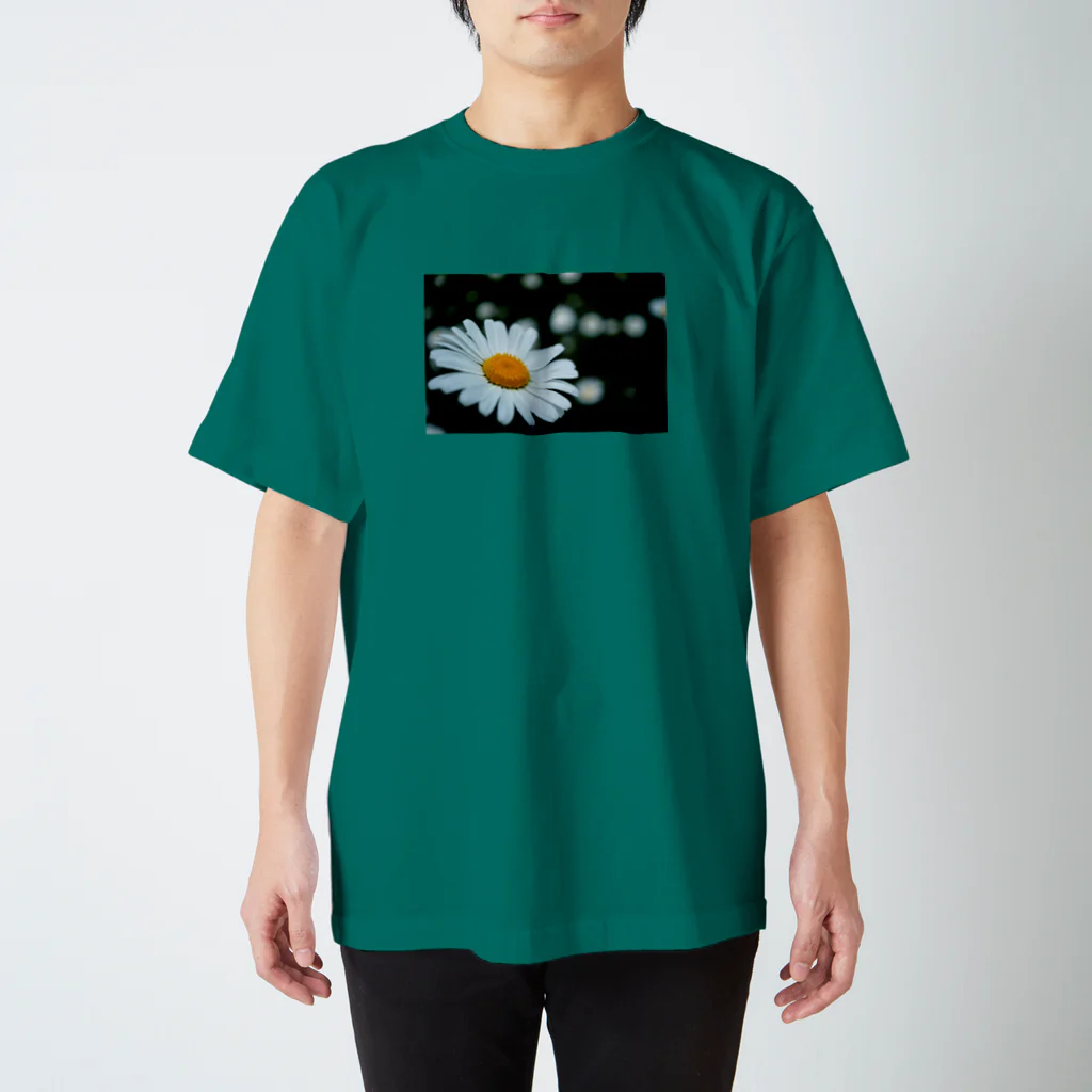 Petal N' Featherの以心伝心 スタンダードTシャツ