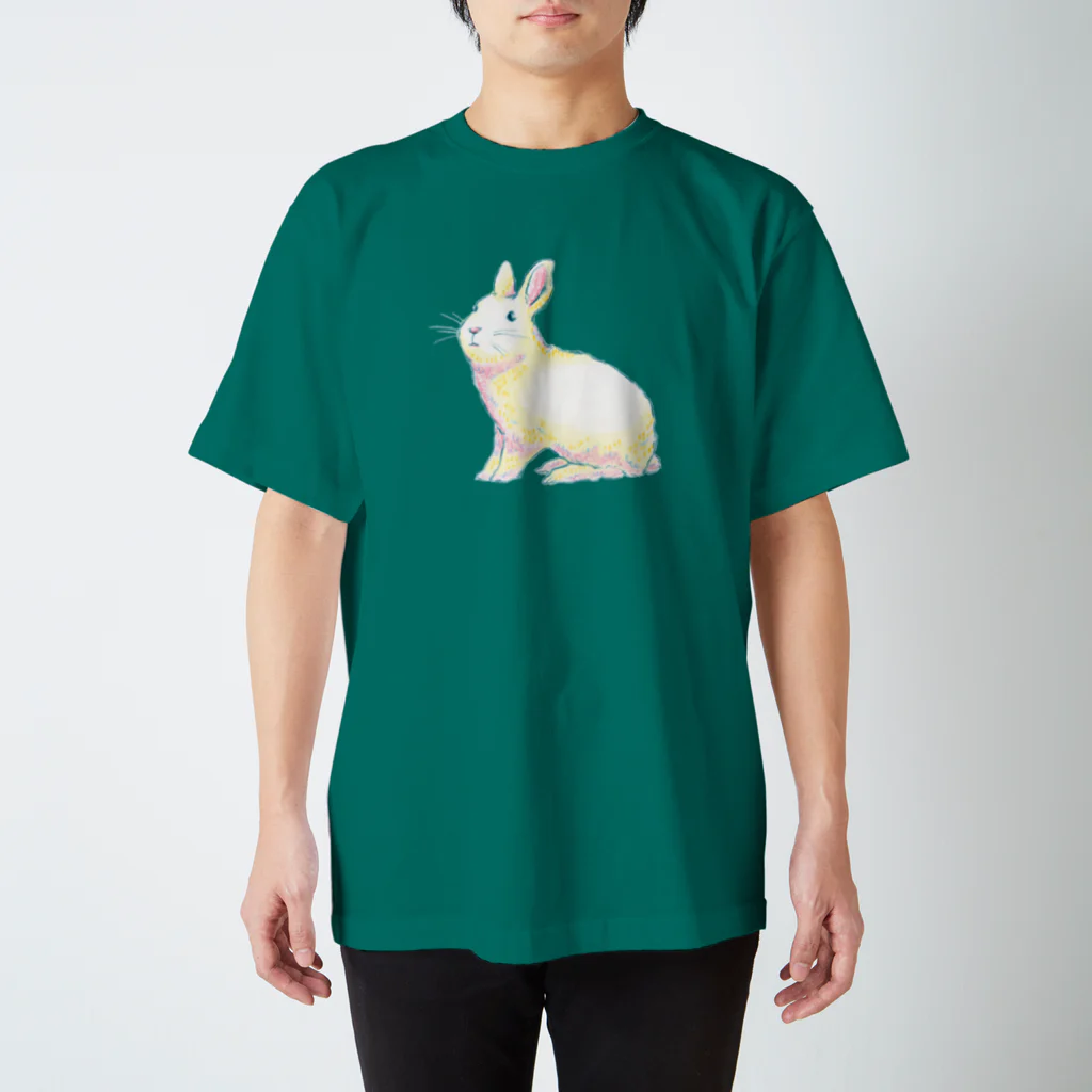 marinaのうさぎ（A to Z : Rabbit） Regular Fit T-Shirt