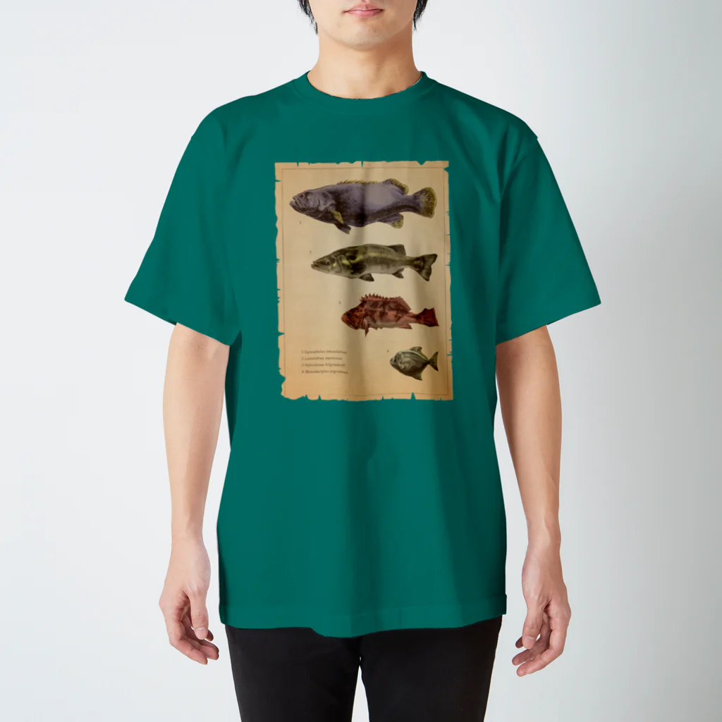 ななめやの魚類画帳 スタンダードTシャツ