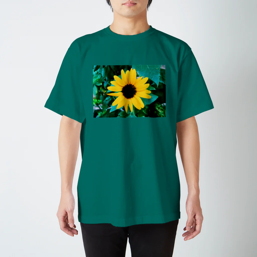 6 2 3のyellow_August Regular Fit T-Shirt