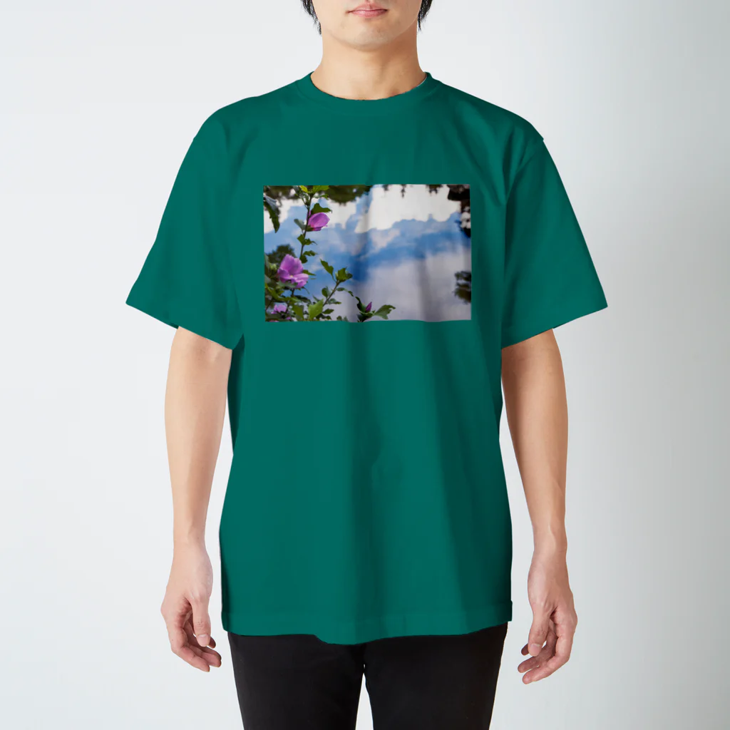 えびたろの幻惑 スタンダードTシャツ