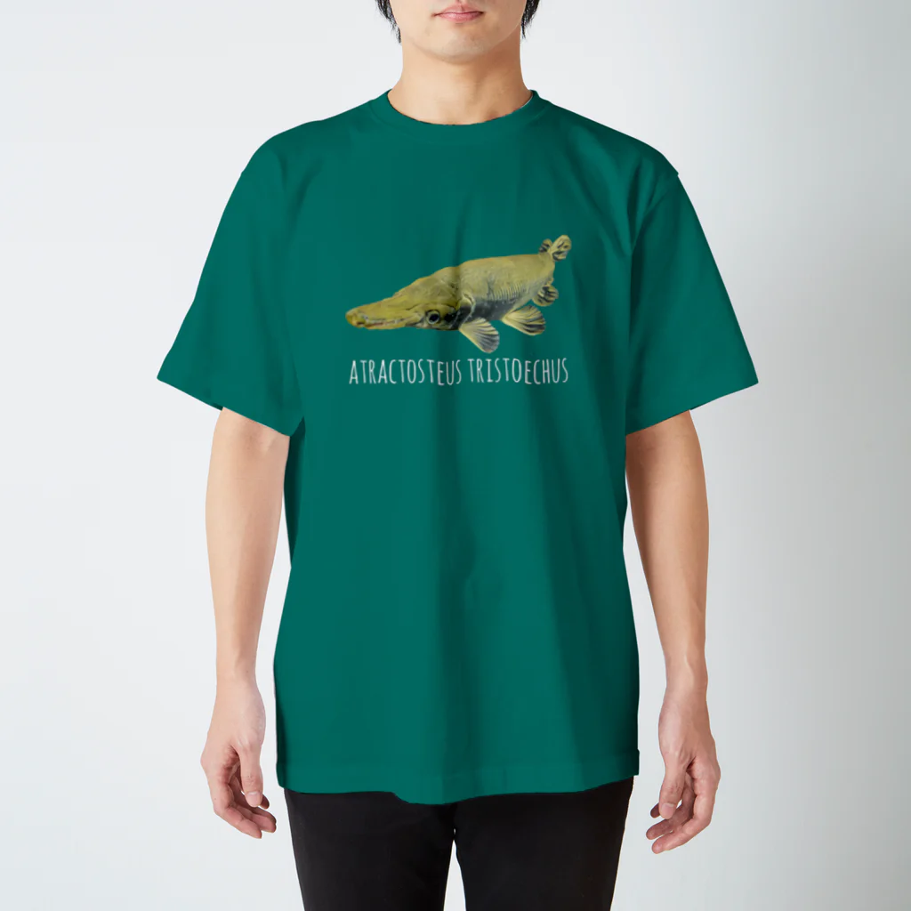 Lepisosのガーパイク濃色 スタンダードTシャツ