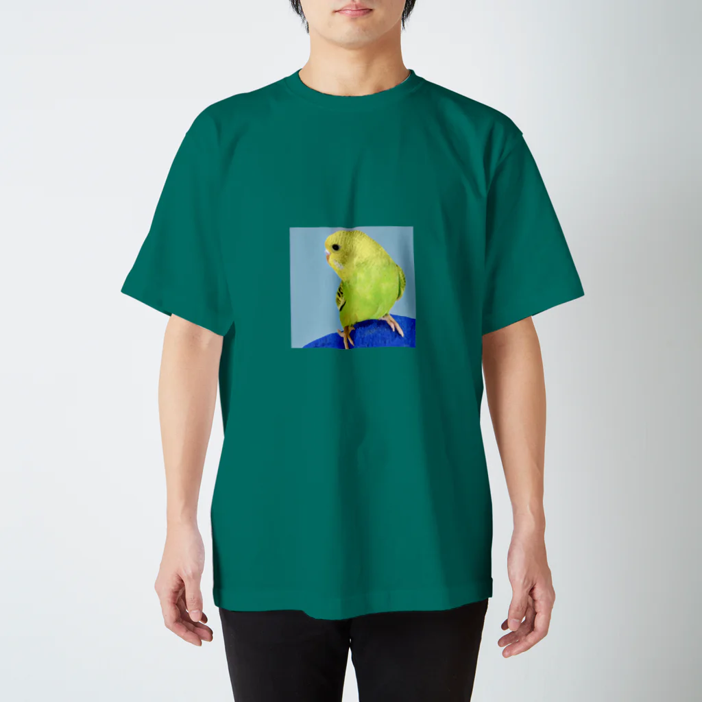 みどりのフク　ザ　バード スタンダードTシャツ