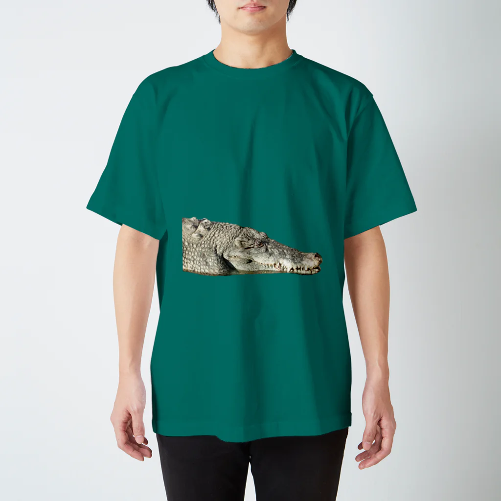 out of pagesのWANISAN Regular Fit T-Shirt