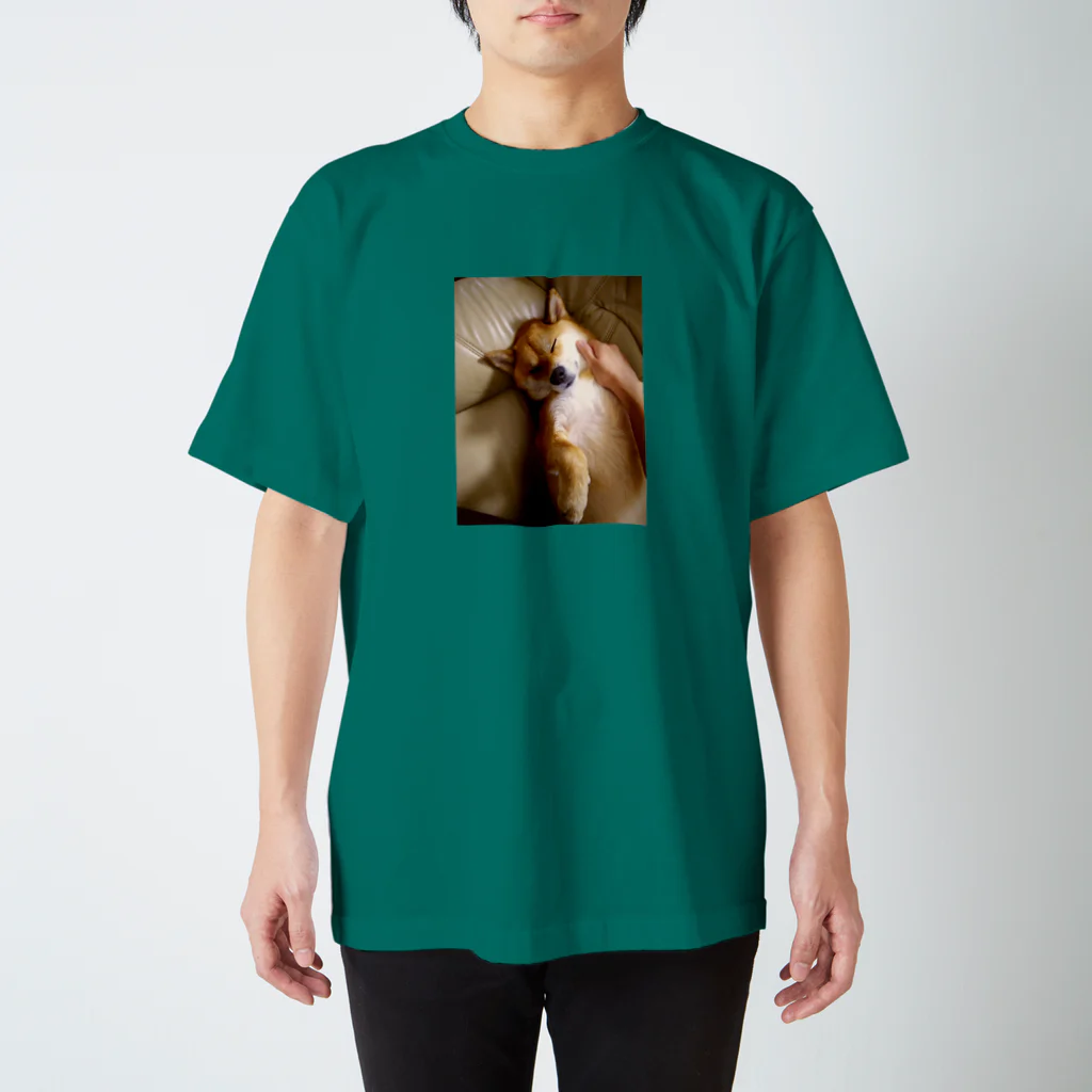 Garnet Windの柴犬もふり Regular Fit T-Shirt
