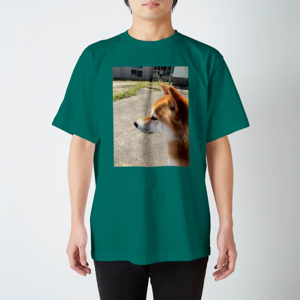 華柴の華柴 Regular Fit T-Shirt