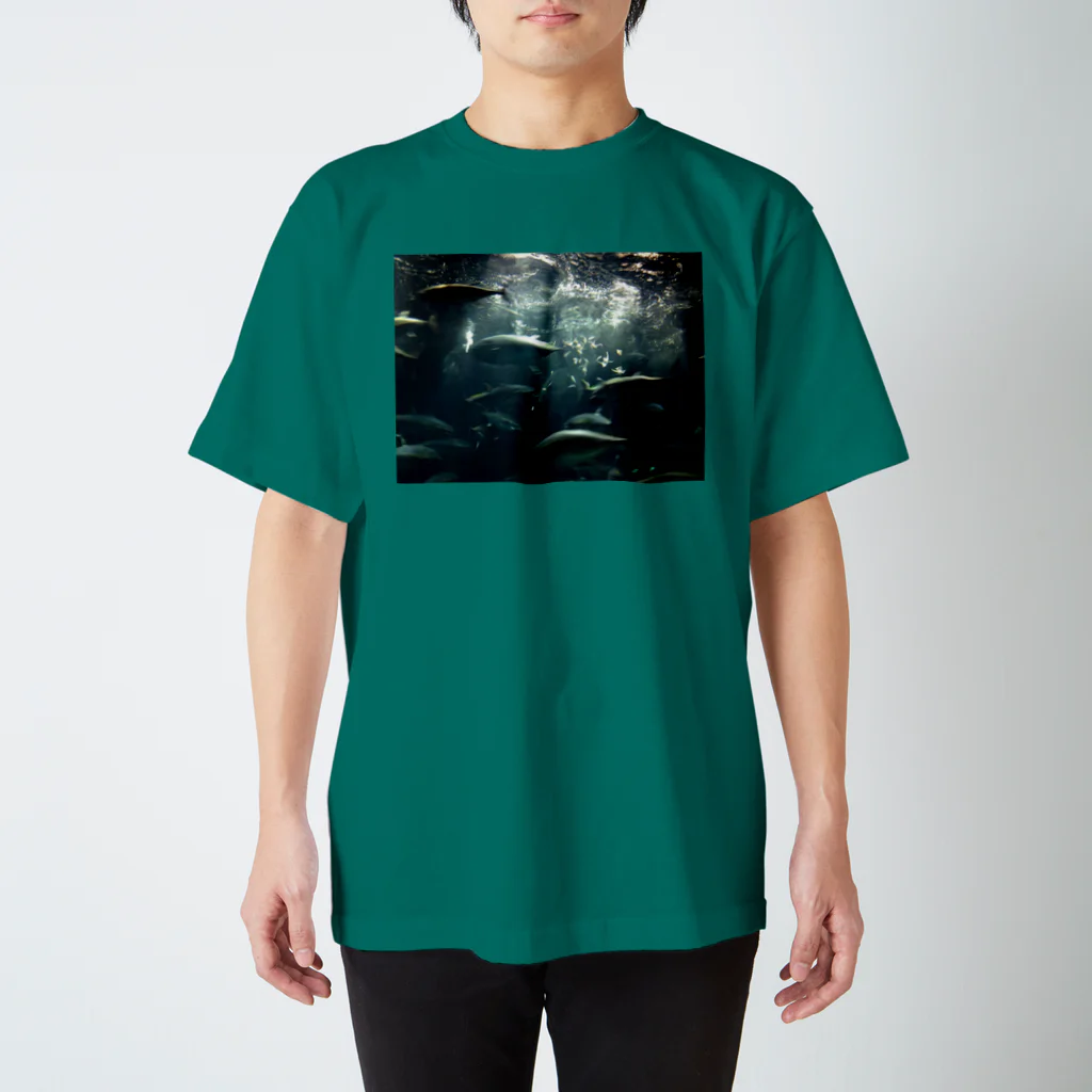 暴走チェリーブロッサムのいつも心に水族館① Regular Fit T-Shirt