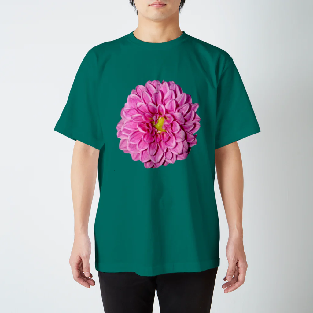 水彩屋のDahlia Regular Fit T-Shirt