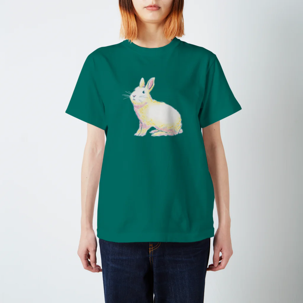 marinaのうさぎ（A to Z : Rabbit） Regular Fit T-Shirt