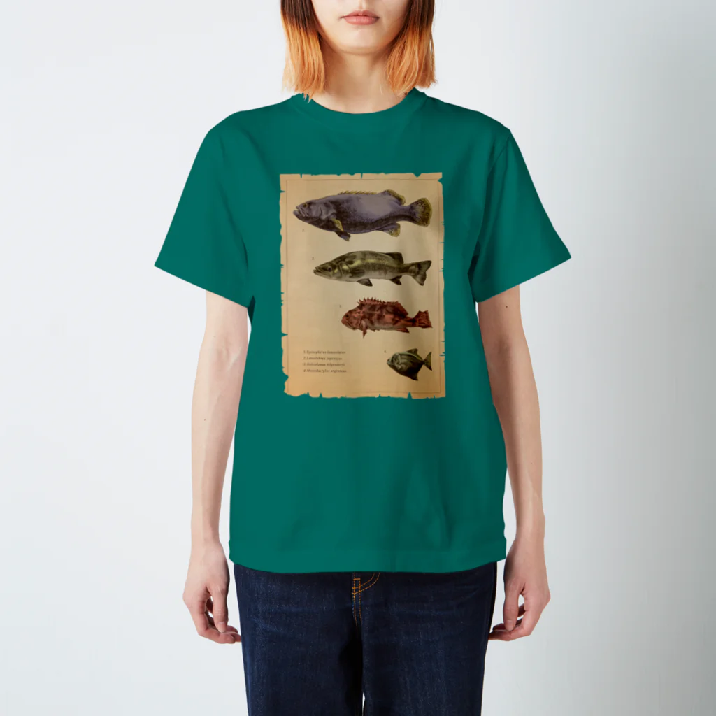 ななめやの魚類画帳 スタンダードTシャツ