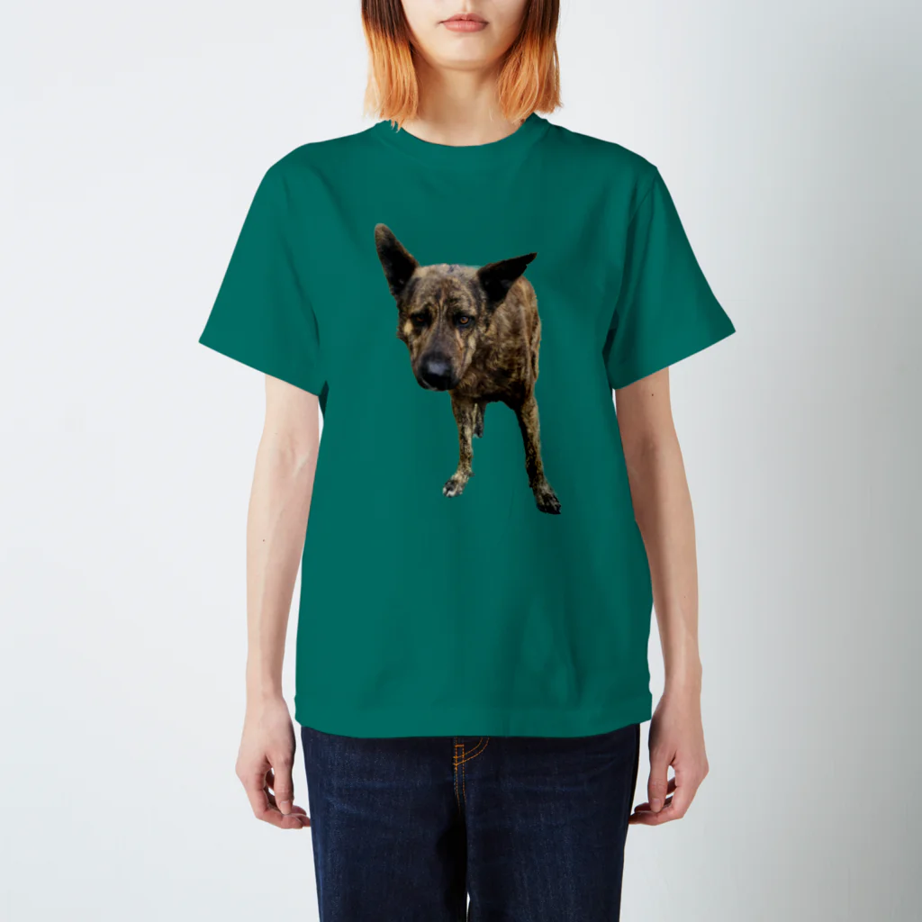 EYE CANDYの愛犬注意 Regular Fit T-Shirt