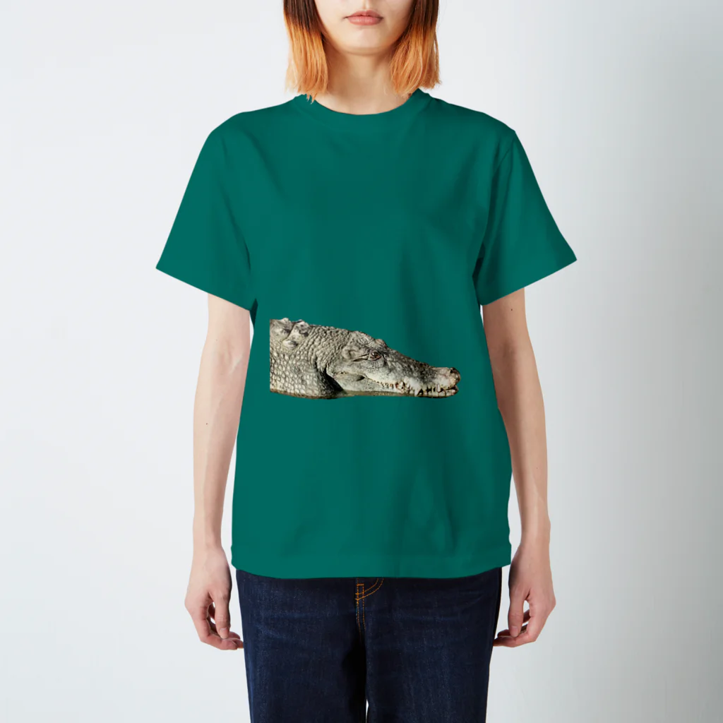 out of pagesのWANISAN Regular Fit T-Shirt