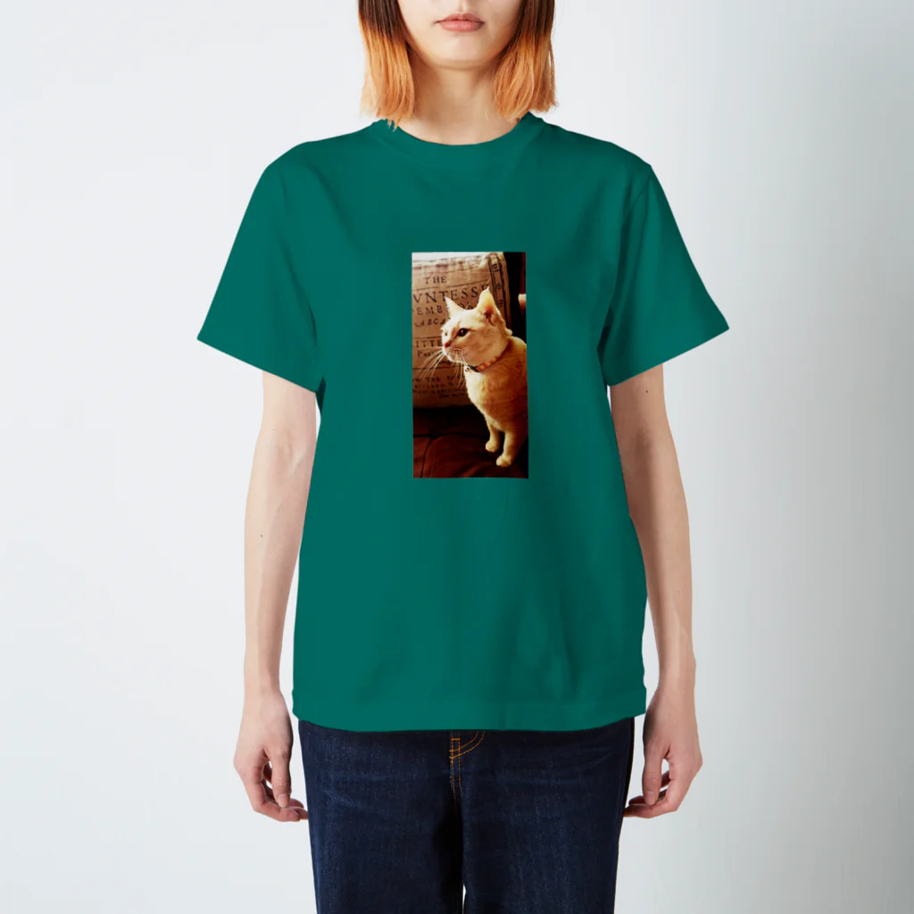 rmskのモフモフレディねこちゃん Regular Fit T-Shirt