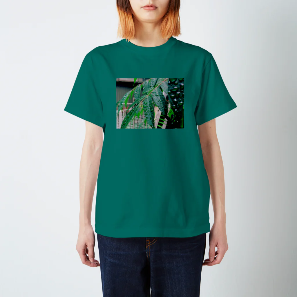 ReMa0520のかがやくハゼくん(仮) Regular Fit T-Shirt