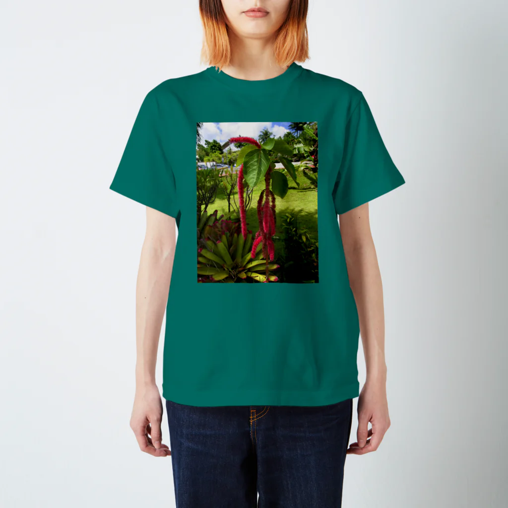k.s.pのグアム 「植物」 スタンダードTシャツ