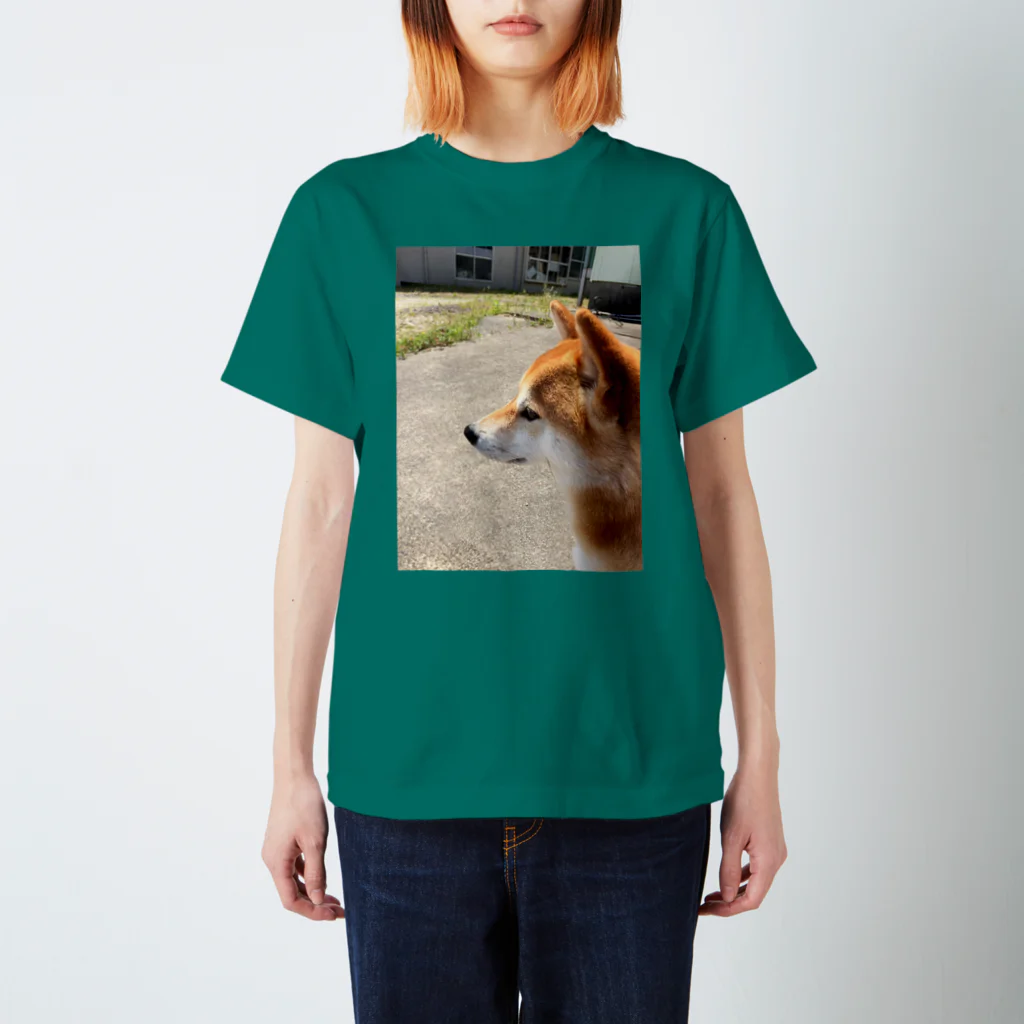 華柴の華柴 Regular Fit T-Shirt