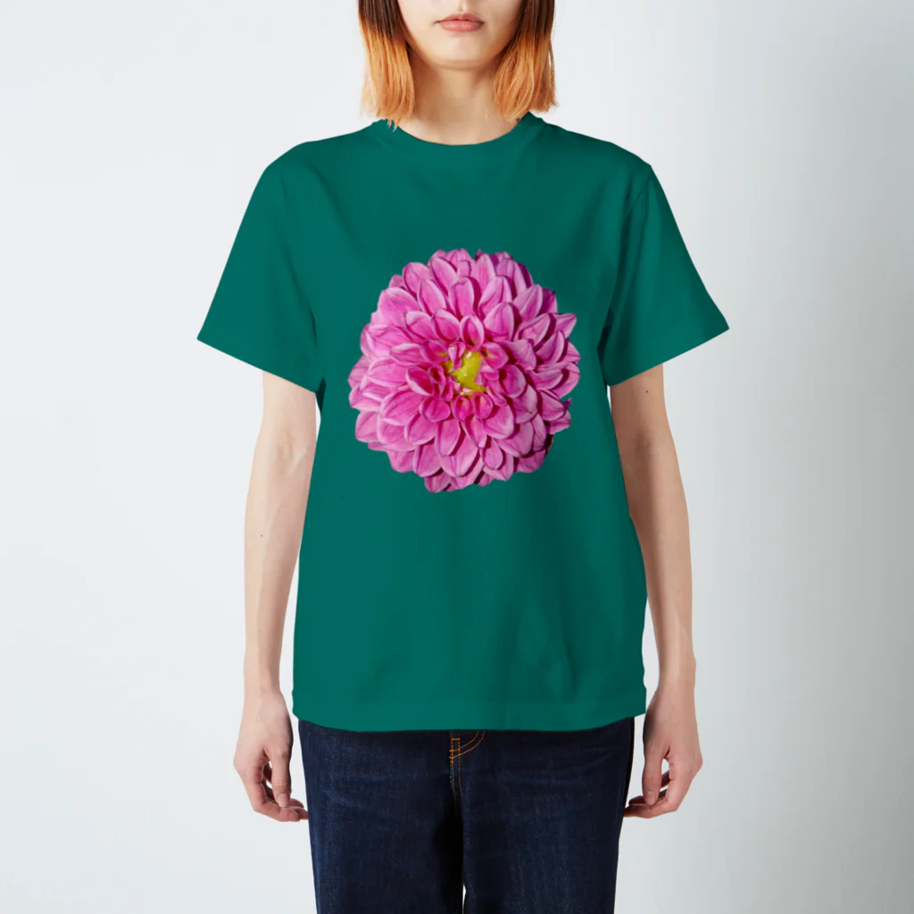 水彩屋のDahlia スタンダードTシャツ