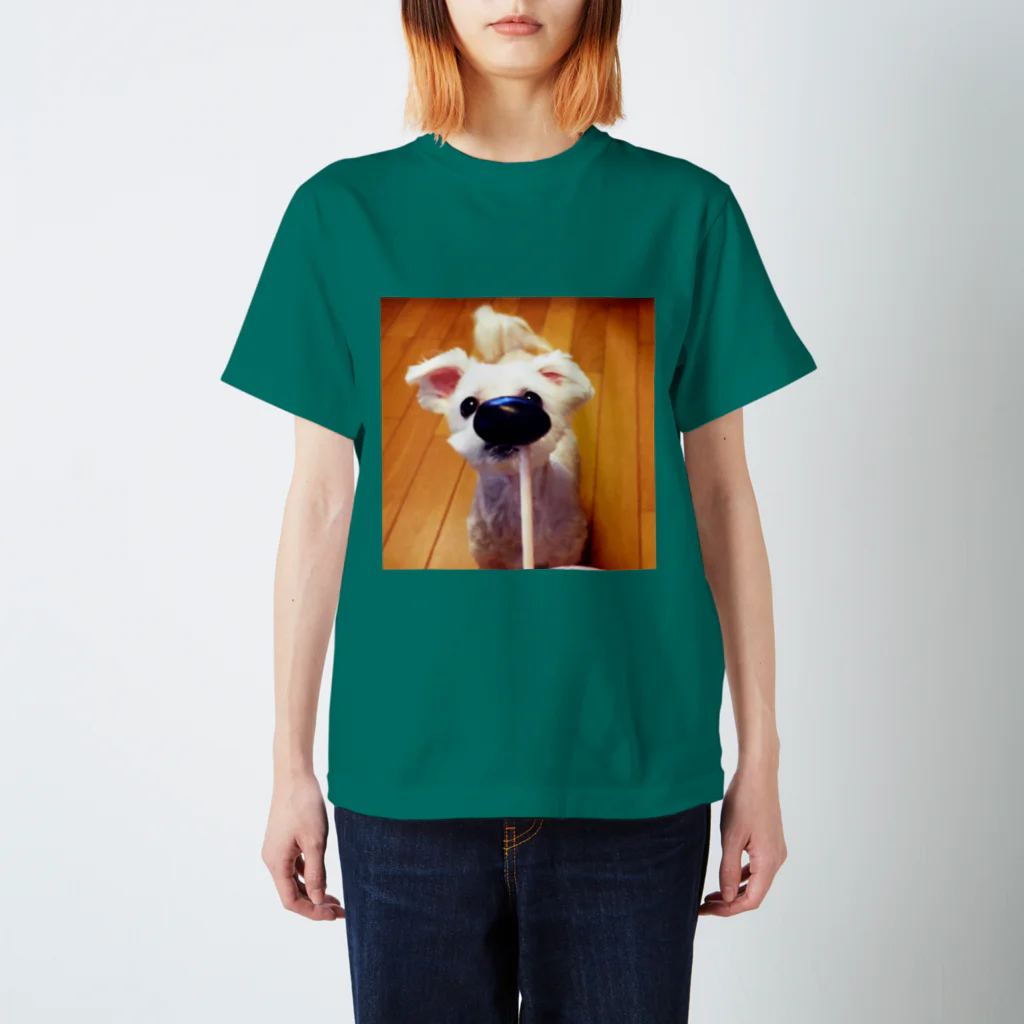 akaneRの犬 スタンダードTシャツ