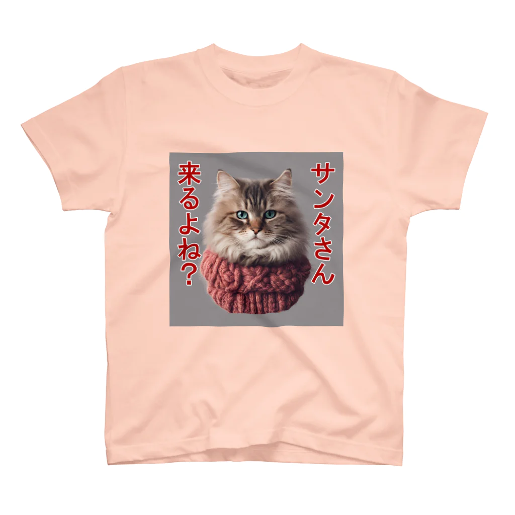 てくのちゃんのサンタを信じてる猫 スタンダードTシャツ