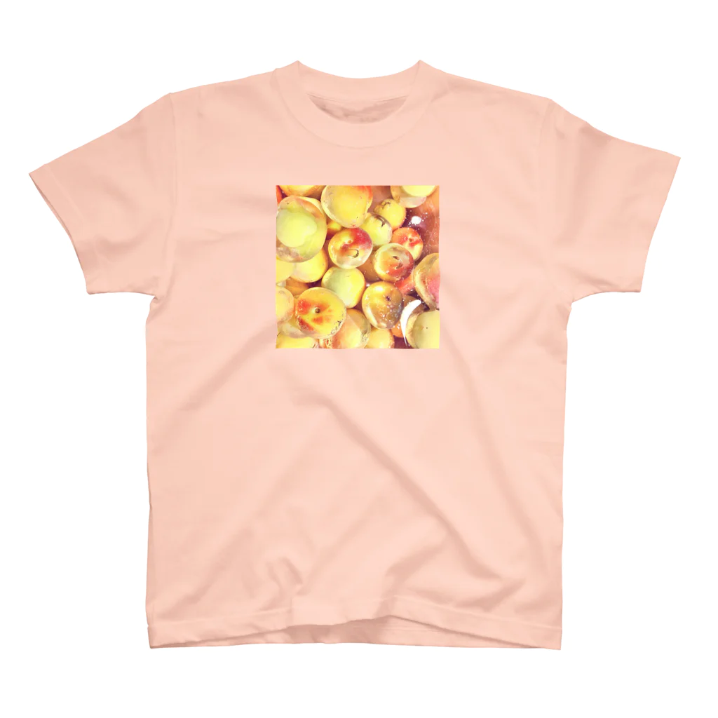 🦪フコイダン🦪の梅酒 スタンダードTシャツ