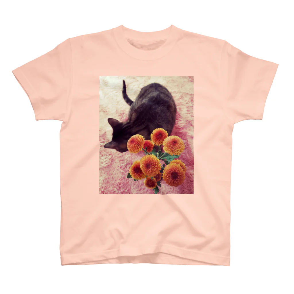ゆーこ☆の猫と花 スタンダードTシャツ