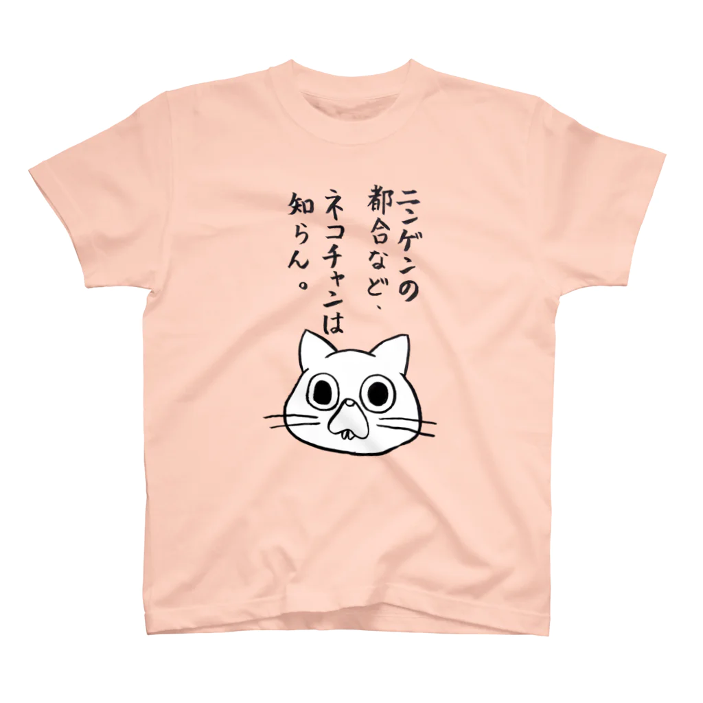 うさみみのﾈｺﾁｬﾝは知らんTシャツ Regular Fit T-Shirt