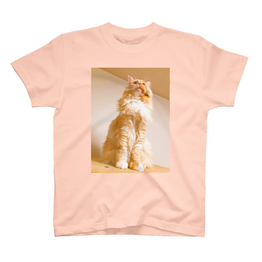 うぶミント＆プシュケのTOP of CATタワー Regular Fit T-Shirt