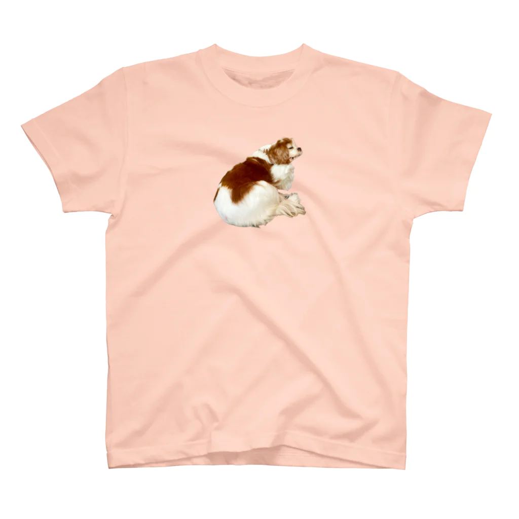 はっぴーおもちのおしりデカ犬 スタンダードTシャツ