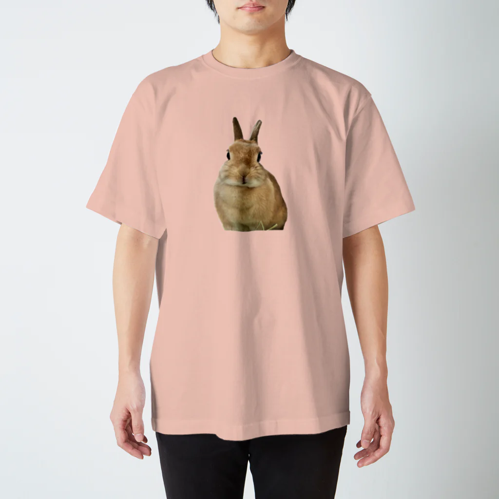 うさのロゴグッズの最新ウサグッズ Regular Fit T-Shirt