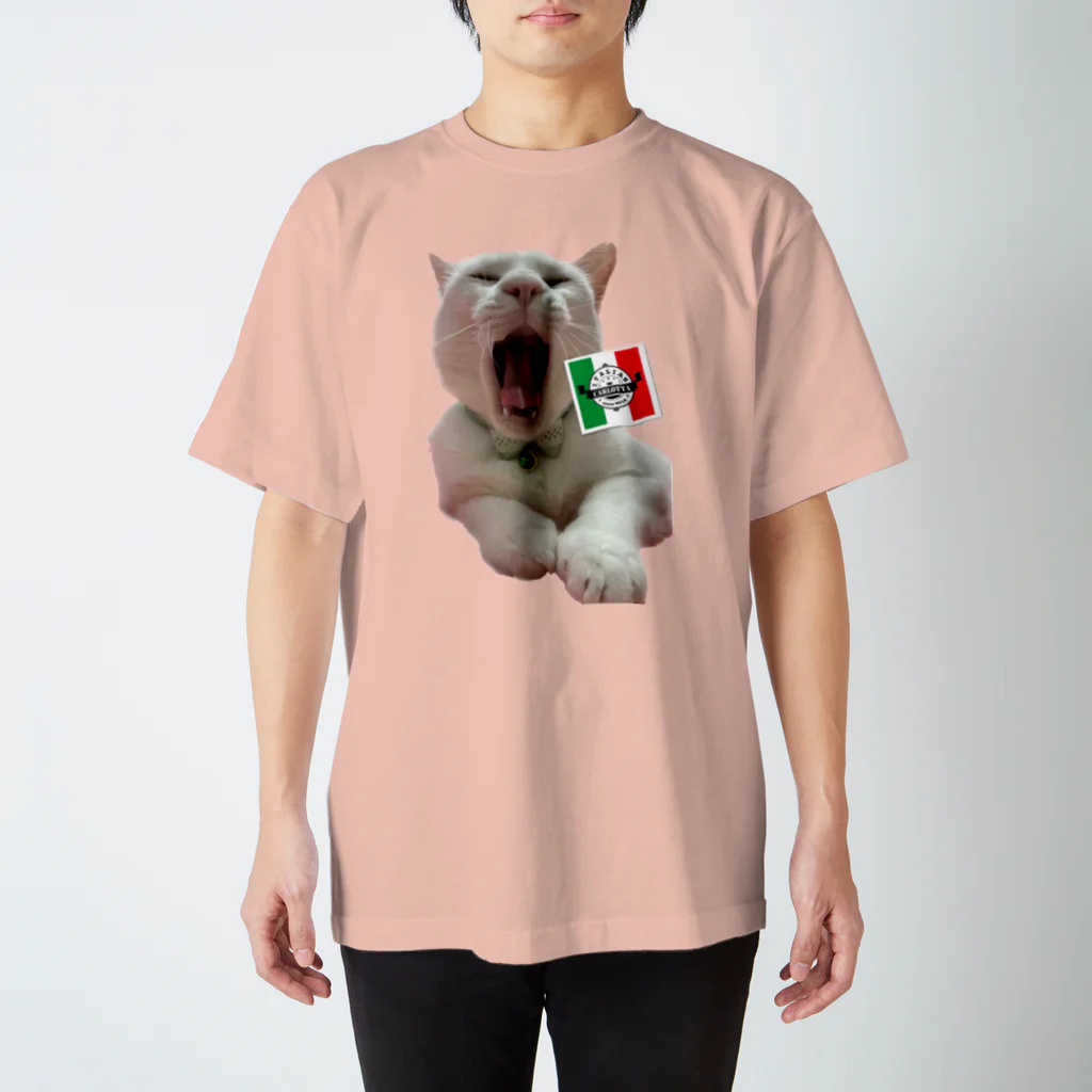 花鶴亀商店のカルロッタ🇮🇹亀⑩ スタンダードTシャツ