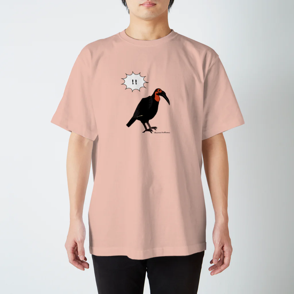 ぎんぺーのしっぽのミナミジサイチョウ スタンダードTシャツ