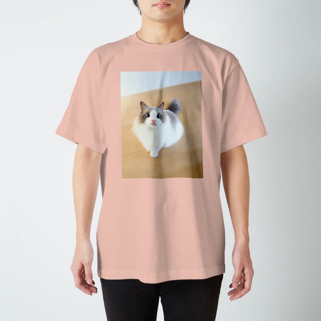 nachiのおうちのおすわりねこ Regular Fit T-Shirt