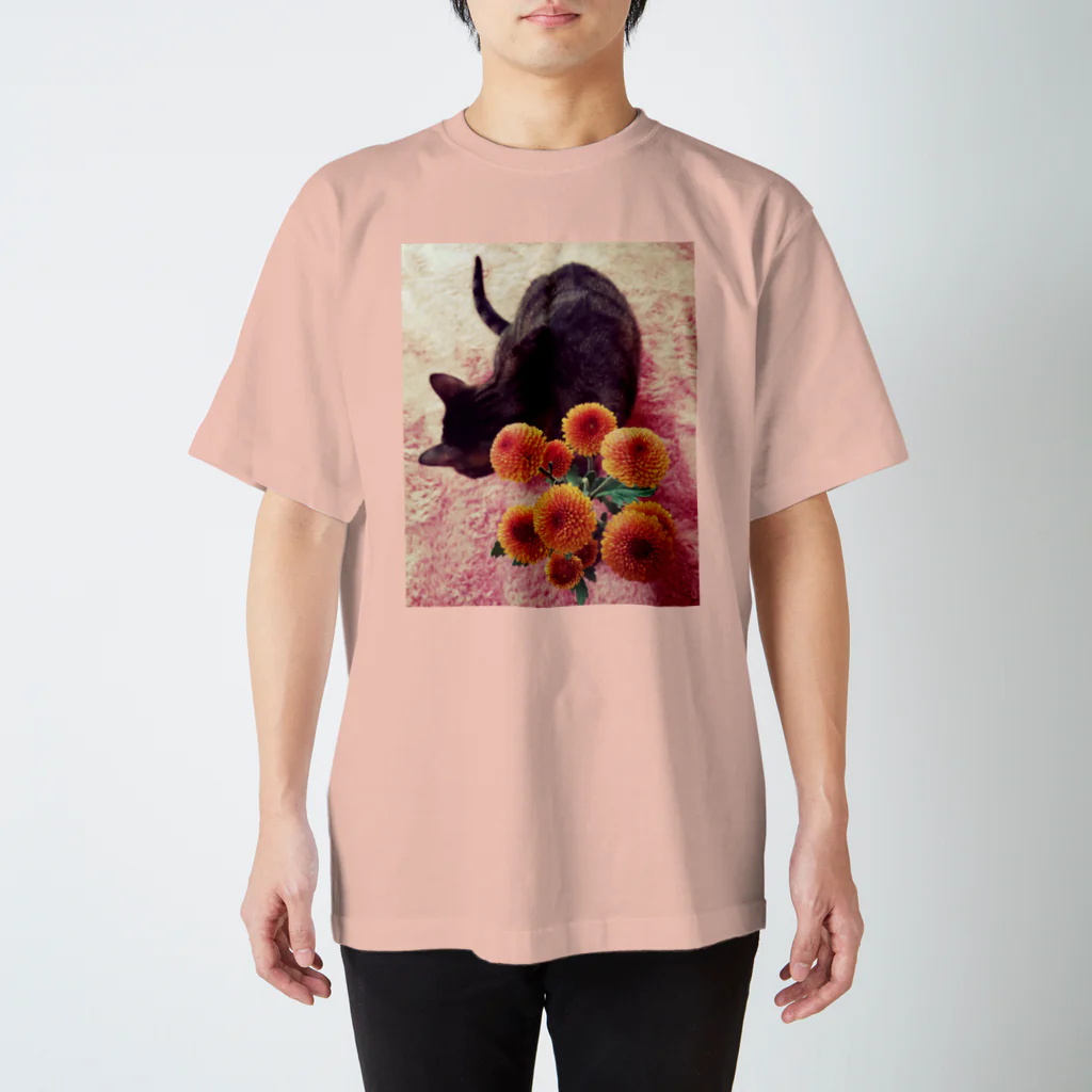 ゆーこ☆の猫と花 スタンダードTシャツ