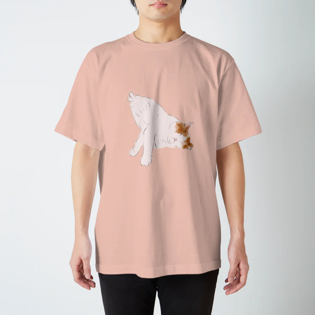 ﾌﾜﾌﾜ商会の安らかなねこ Regular Fit T-Shirt