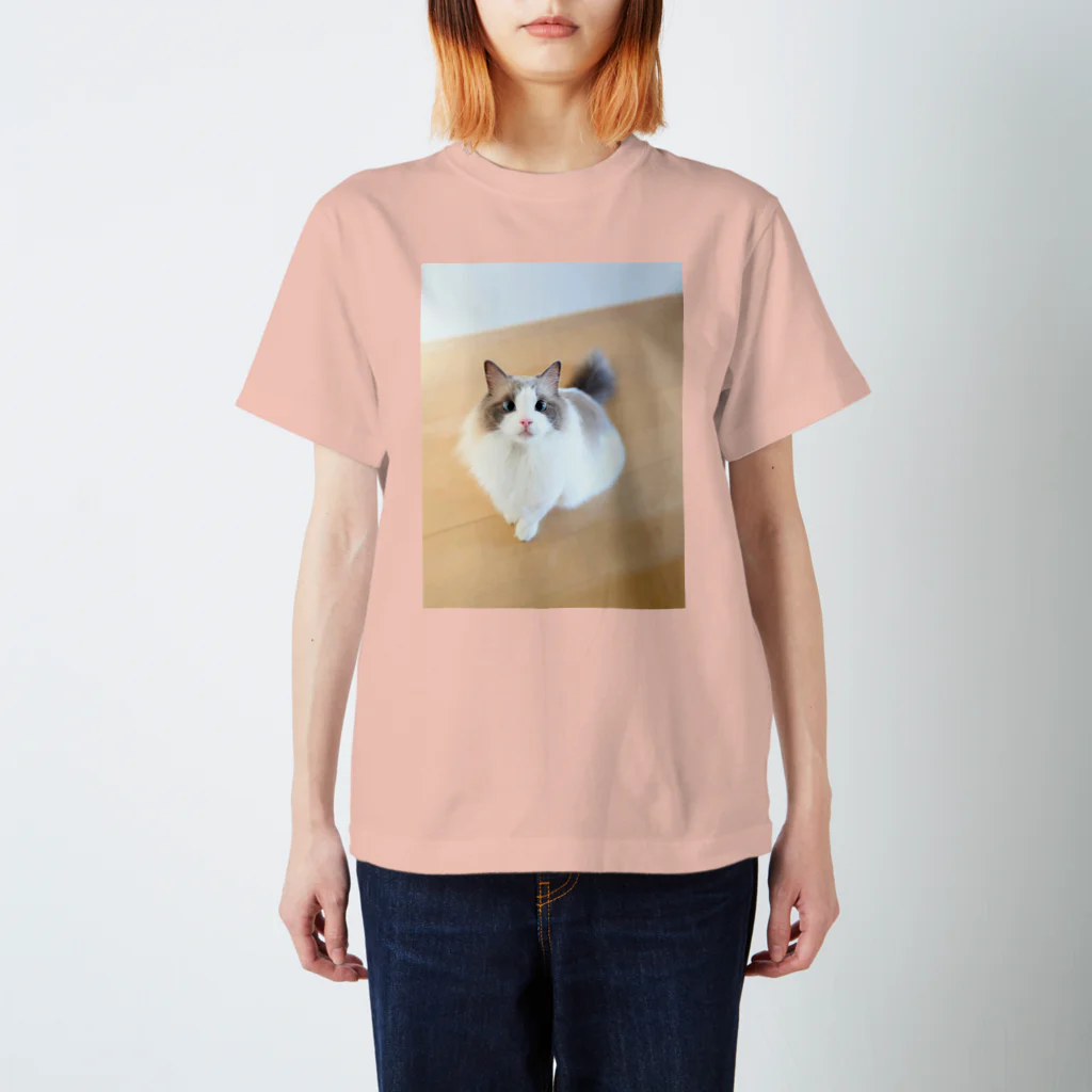 nachiのおうちのおすわりねこ スタンダードTシャツ