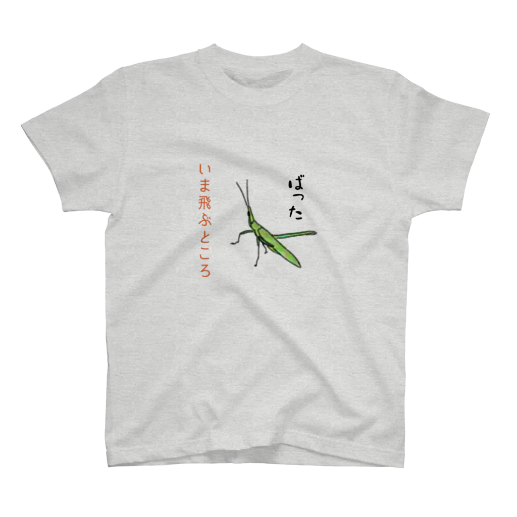 honoeのしんぼるず→ばった Regular Fit T-Shirt