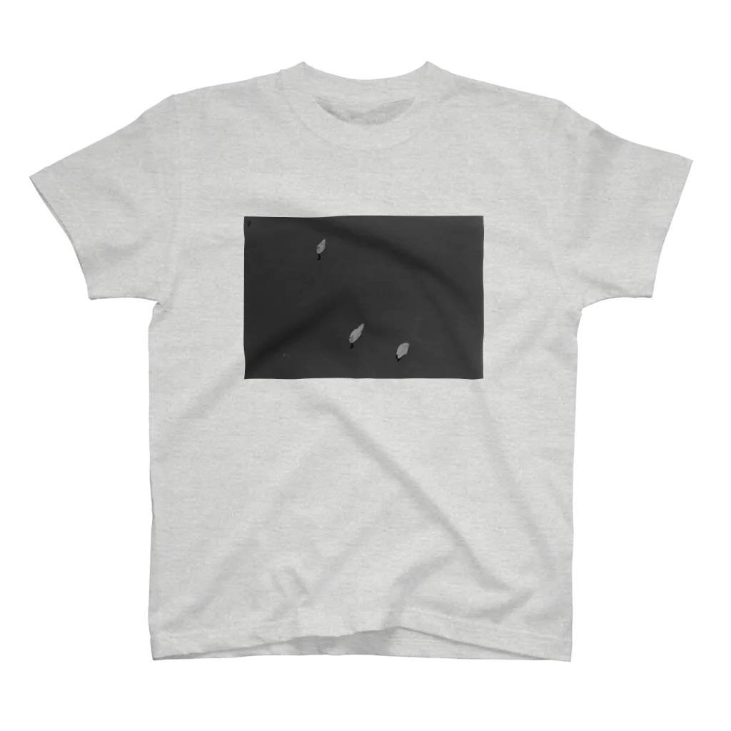 ⠒⠔ ⠑⠭⠏⠕⠎⠥⠗⠑⠎のSwans Regular Fit T-Shirt