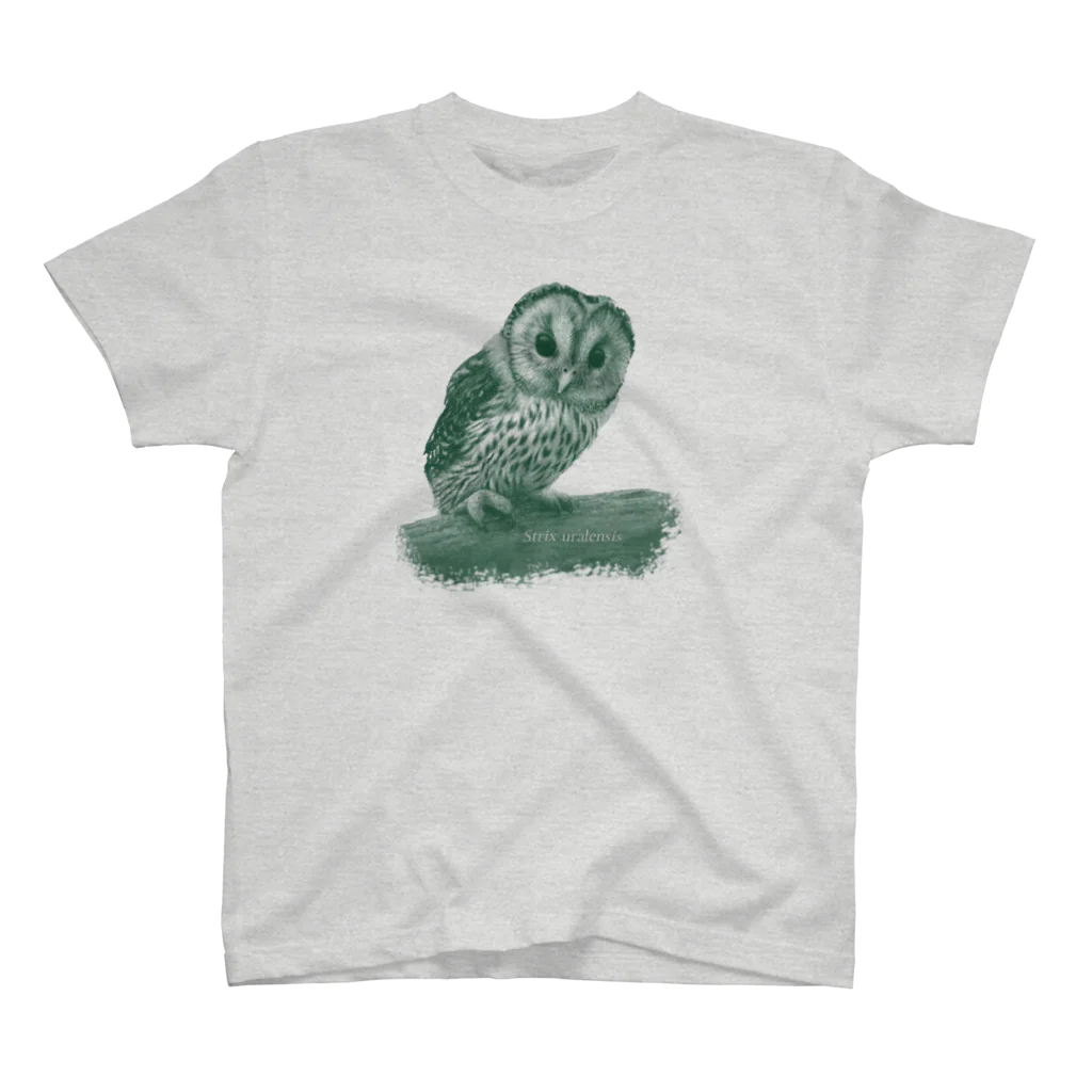 野鳥生活のフクロウの巣立ちびな（寄付） Regular Fit T-Shirt