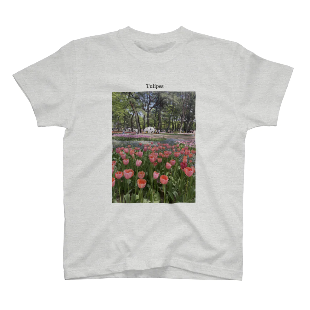 𝑷𝑶𝑴𝑷𝑶𝑴𝑹𝑰𝒀のかわいいチューリップ🌷 スタンダードTシャツ