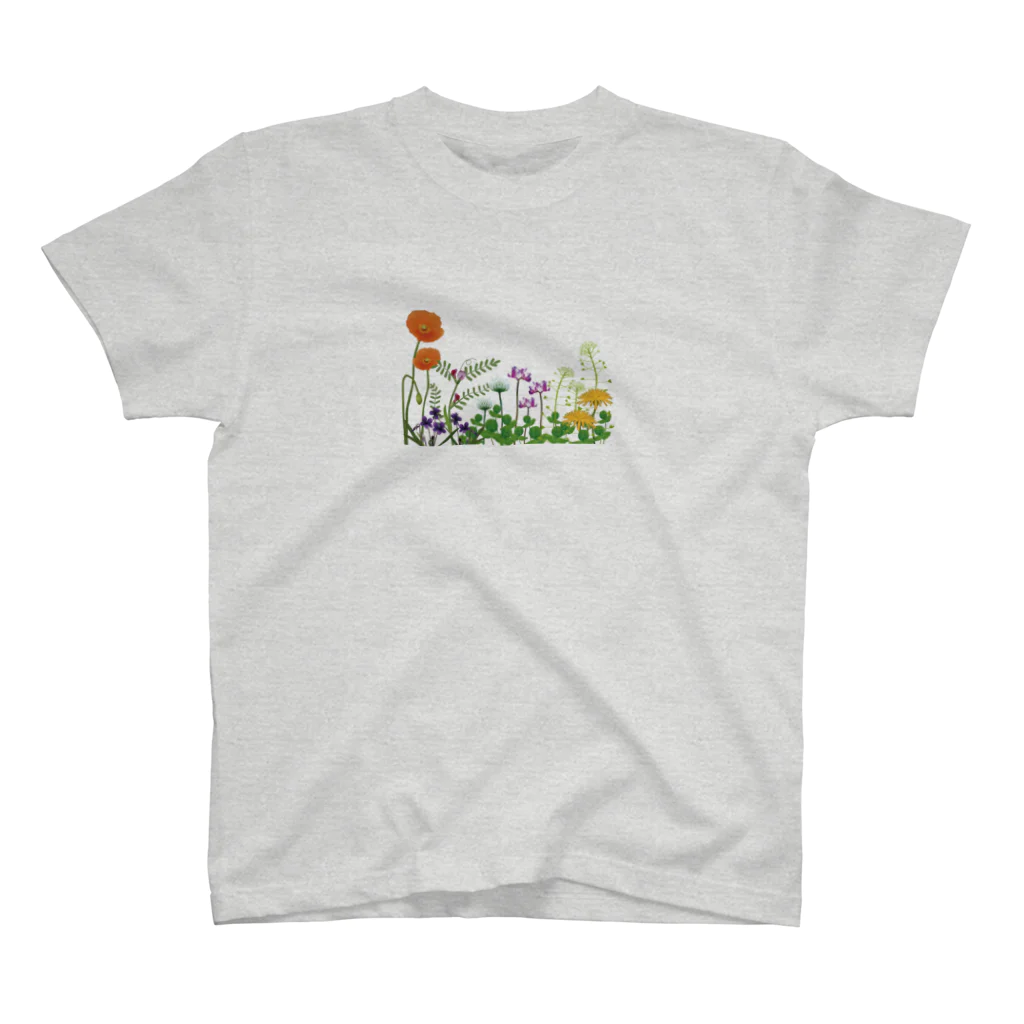 Drecome_Designの野の花 春2 スタンダードTシャツ