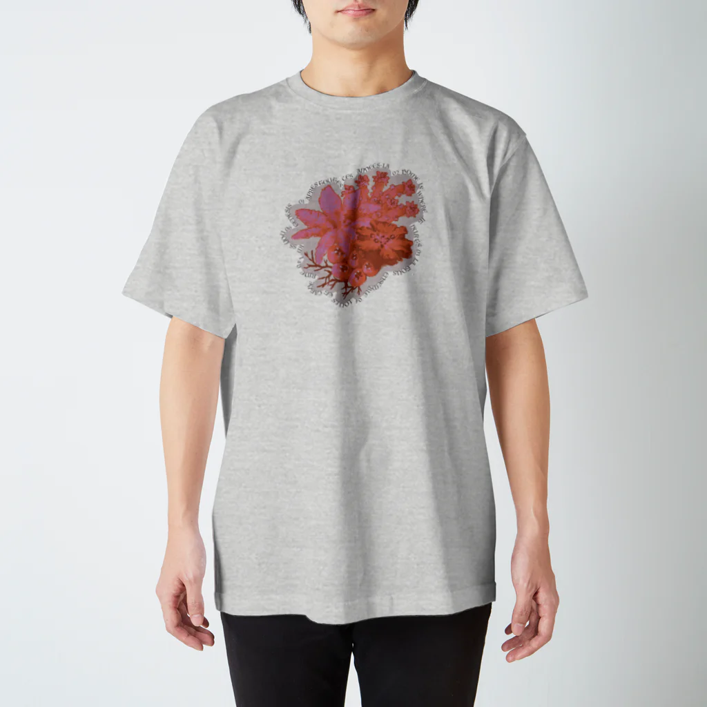 HATERUMOFUTOのtree ensemble スタンダードTシャツ