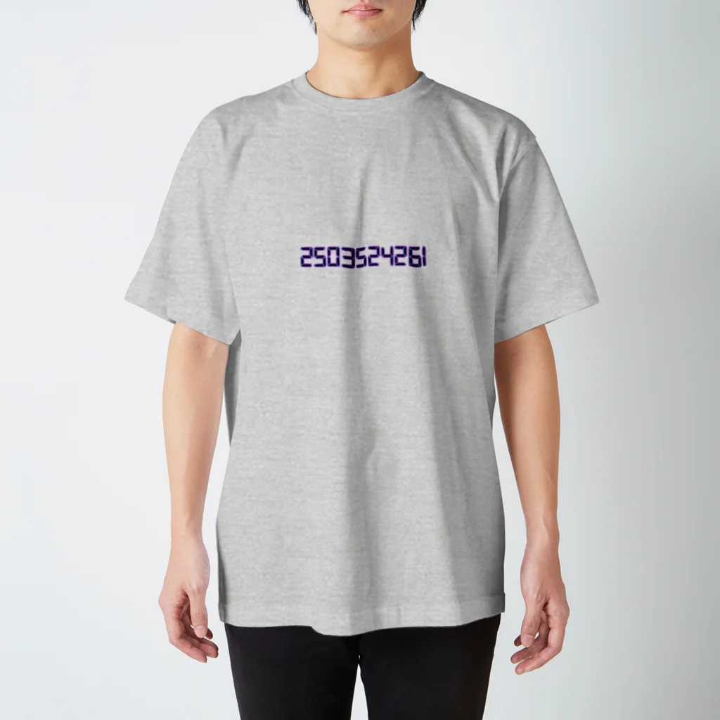 Ra:bicoのGME Regular Fit T-Shirt